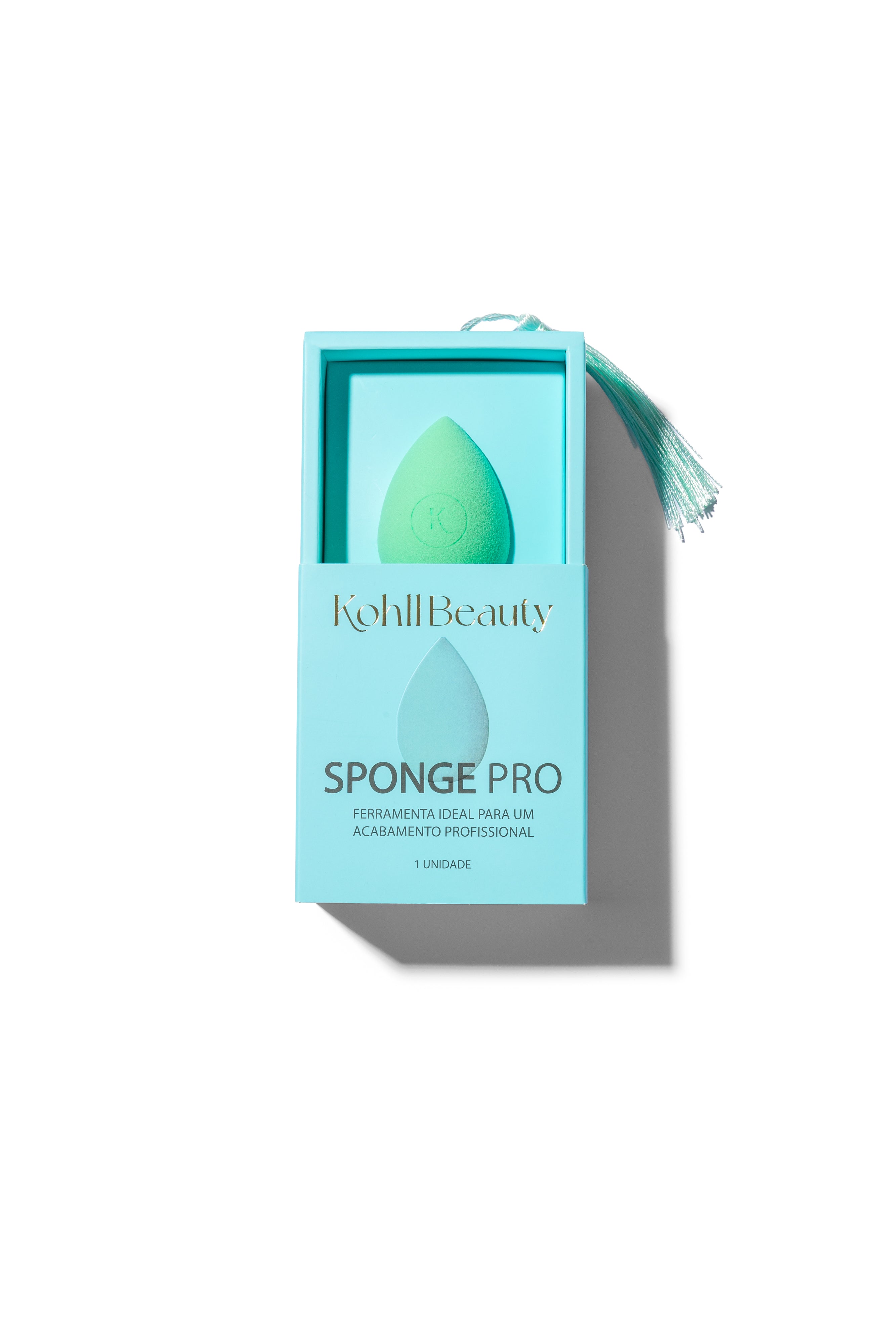 SPONGE PRO ARTISTIQUE