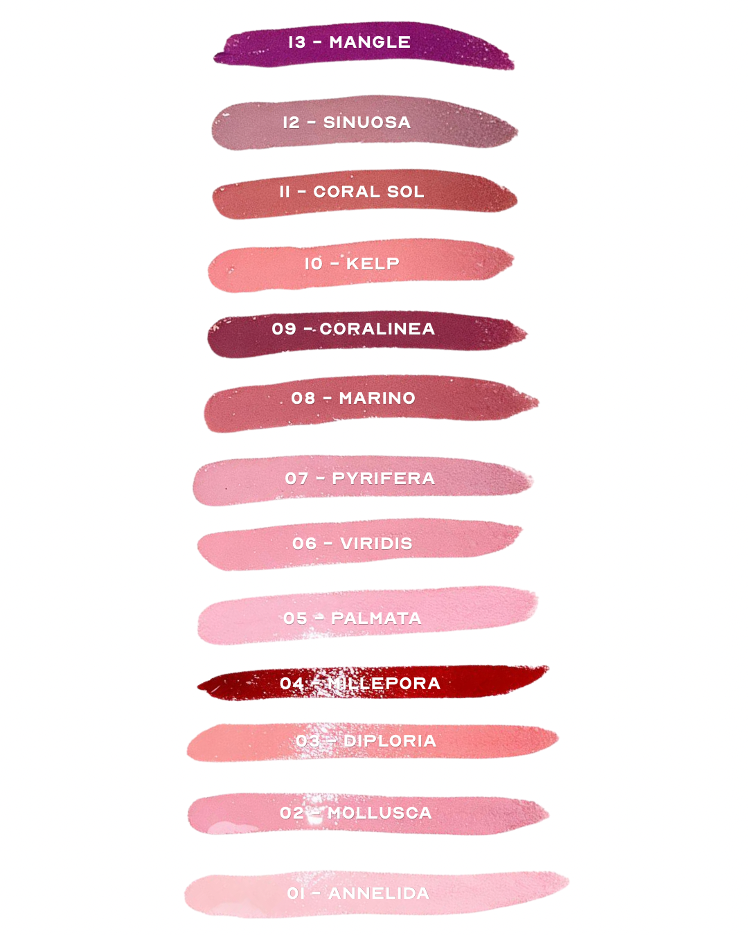 BLUSH BLINDADO COR 05 PALMATA